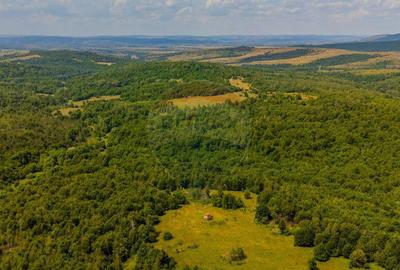 COMISION 0% Teren Grid/Inima Naturii/ Oportunitate de inv... - 2