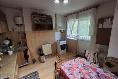Apartament cu 3 camere decomandat în Băile Herculane - 8