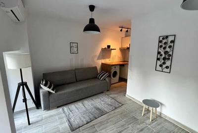 Apartament cu 1 camere semidecomandat, mobilat în Unirii - 2