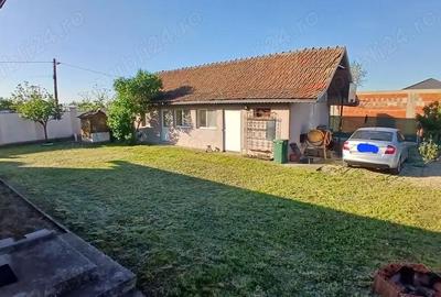 Casă cu 4 camere cu Teren 2400 Mp în Gepiu - 8