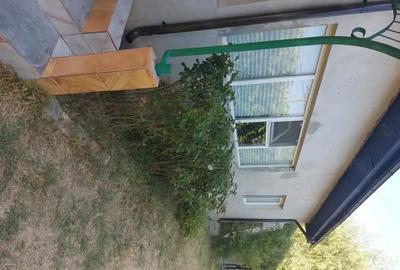 Casă cu 2 camere cu Teren 2251 Mp în Petrești - 8