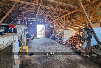 Casă cu 3 camere cu Teren 3724 Mp în Borlești - 17