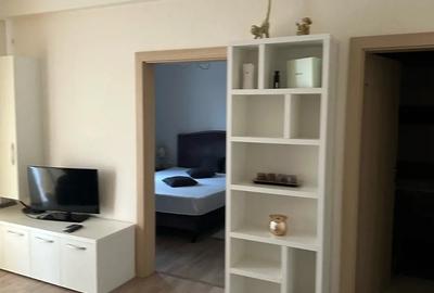 Apartament cu 2 camere semidecomandat în Lipovei - 5