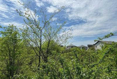 AUTORIZATIE DE CONSTRUIRE Pantelimon -Lebada- str. Sinaia, teren 24.750 mp, dubla deschidere 56 m 6m - 5