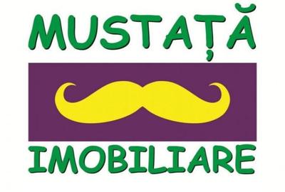 Teren intravilan Cazasu 9.500mp - 1