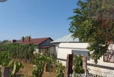 Teren intravilan Leu, Jud. Dolj, - 2