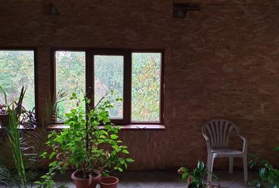 Casa Bolintin Vale - zona extrem de linistita, curte mare - 12