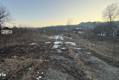 Teren de 10834 mp, în Dumbrăvești - 6