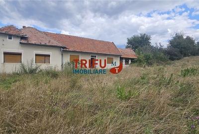 Casa de vanzare in Hapria 4139mp teren - 1
