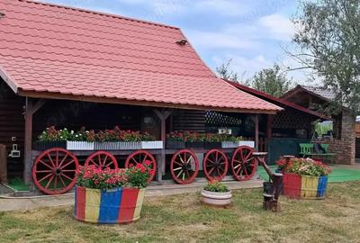 Teren de vanzare Teren de vanzare - 6