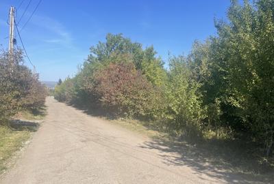 Teren de vanzare zona Mihai Romanu strada Nicolae Corches - 2