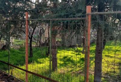 Popesti Leordeni , - 3