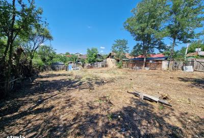 Spațiu comercial, în Brănești - 8