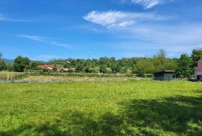 Teren de 1743 mp, în Tisău - 9
