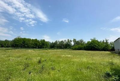 Teren de 2500 mp, în Polovragi - 3