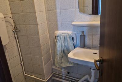 COLENTINA RAU, MAIOR BACILA IN PLAN SECUND, PARCUL PLUMBUITA LA 5MIN. - 16