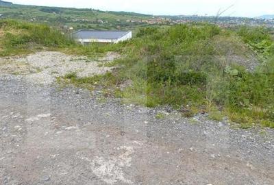 Oportunitate! Teren intravilan Borhanci, 1050 mp, zona Calea - 1