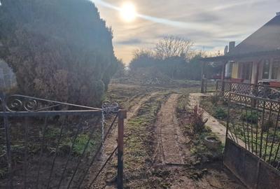 Teren de Vanzare Comuna Apateu Va Rog Sa Luati Legatura Pe WhatsApp - 2