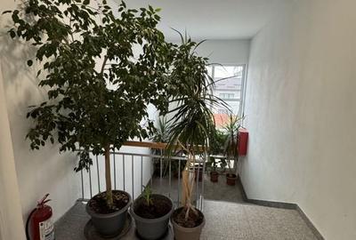 Spatii birouri de inchiriat renovate moderne L329 - 8