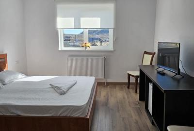 Garsonieră decomandată în Murfatlar - 3