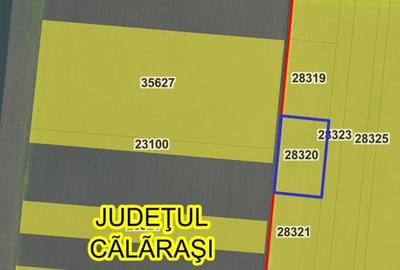 Spațiu comercial, în Radu Negru