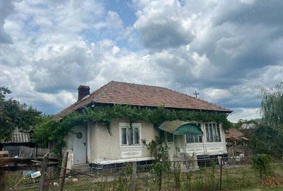 Casă cu 3 camere în Copăceni - 8