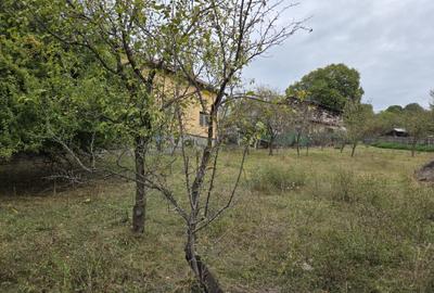 Teren de 1154 mp, în Cornu - 5