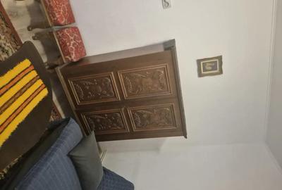 Apartament cu 2 camere semidecomandat, mobilat în Parcul Carol - 1