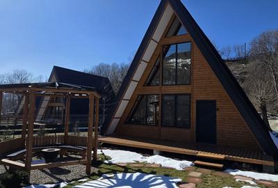 Casă cu 3 camere în Valea Doftanei - 5