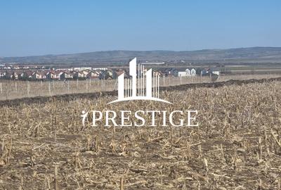 Teren Construcții intravilan de 420 mp, în Șura Mică - 4