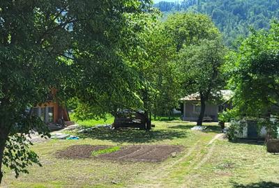 Teren si casa Sat Tarcau zona Garii - 9