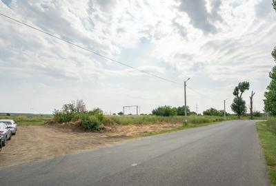 Teren Construcții intravilan de 30000 mp, în Cernica - 16