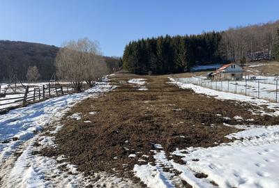 Teren Construcții intravilan de 4521 mp, în Valea Doftanei - 2