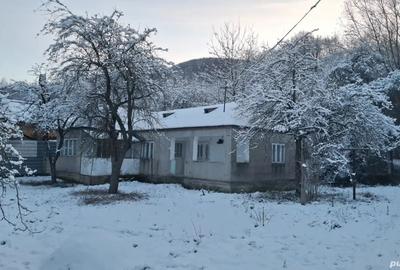 Casă cu 4 camere cu Teren 5574 Mp în Vulcăneasa - 1