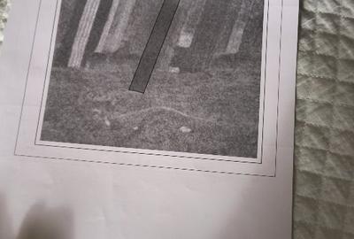 Craiova/Pielesti. Oportunitate! 5 Loturi Foarte Bine Pozitionate - 12