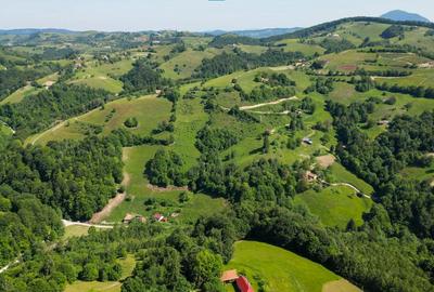 Teren agricol extravilan de 2900 mp, în Lisnău-Vale