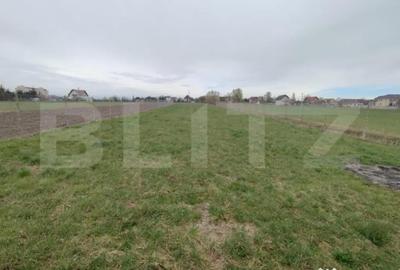 Casă cu 4 camere cu Teren 2500 Mp în Central - 16