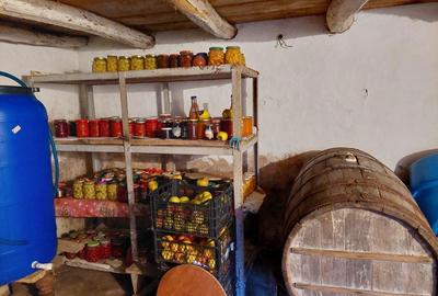 Casă cu 4 camere în Osica de Jos - 5