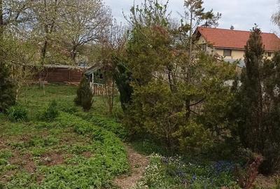 Casă cu 3 camere cu Teren 600 Mp în Central - 1