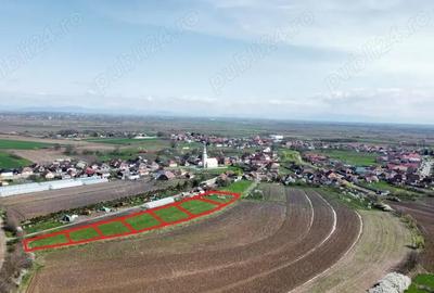 Teren în Amați - 7