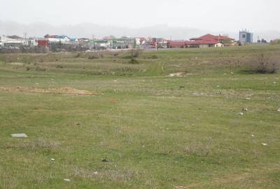 Teren Construcții intravilan de 45000 mp, în Boreal