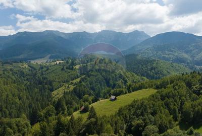 Teren Panoramic in Bran Vedere spre Bucegi & Piatra C... - 6