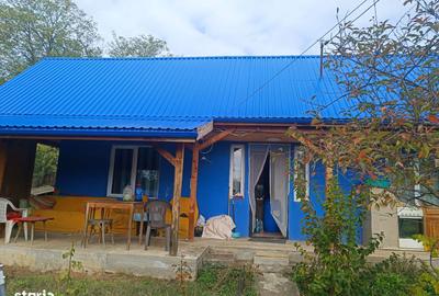 Casă cu 2 camere cu Teren 4500 Mp în Stoenești - 8