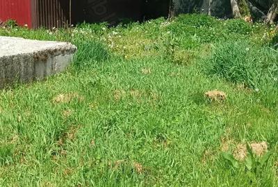 REDUCERE MARE DE PRET! In localitatea Miresu Mare, casa cu 10 ari teren, la drum asfaltat REDUCERE MARE DE PRET! In localitatea Miresu Mare, casa cu 10 ari teren, la drum asfaltat - 8