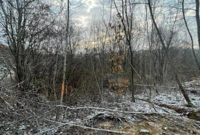 Teren de 866 mp, în Tăuții-Măgherăuș - 2