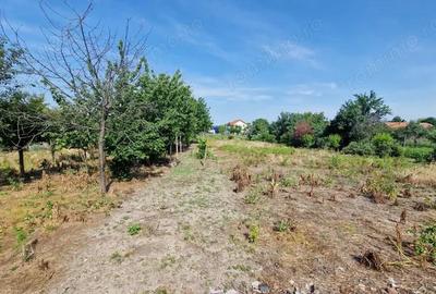 De vanzare teren Cernateaz- 522 - 3