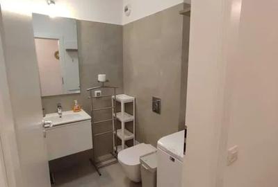 Apartament cu 2 camere decomandat, mobilat în Morarilor - 8