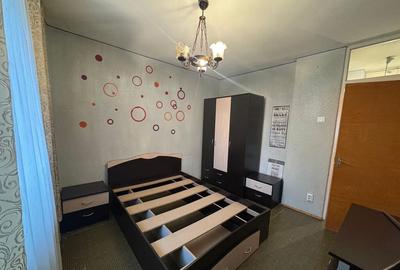 2 Camere Campia Libertatii Pet friendly - 3