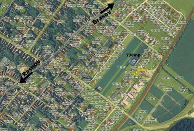 Cristian-zona str Eroilor front 34m, intravilan, 730mp - 9