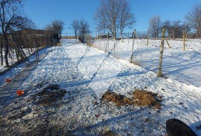 Casa individuala 3 camere, teren 540 mp – Șura Mare, Sibiu - 11